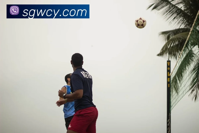 App Interface Preview