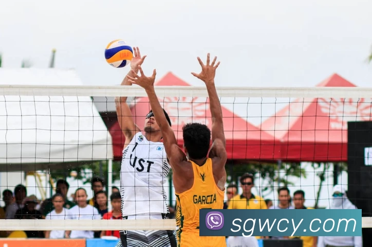 emc易倍(emc易倍)APP 封面图